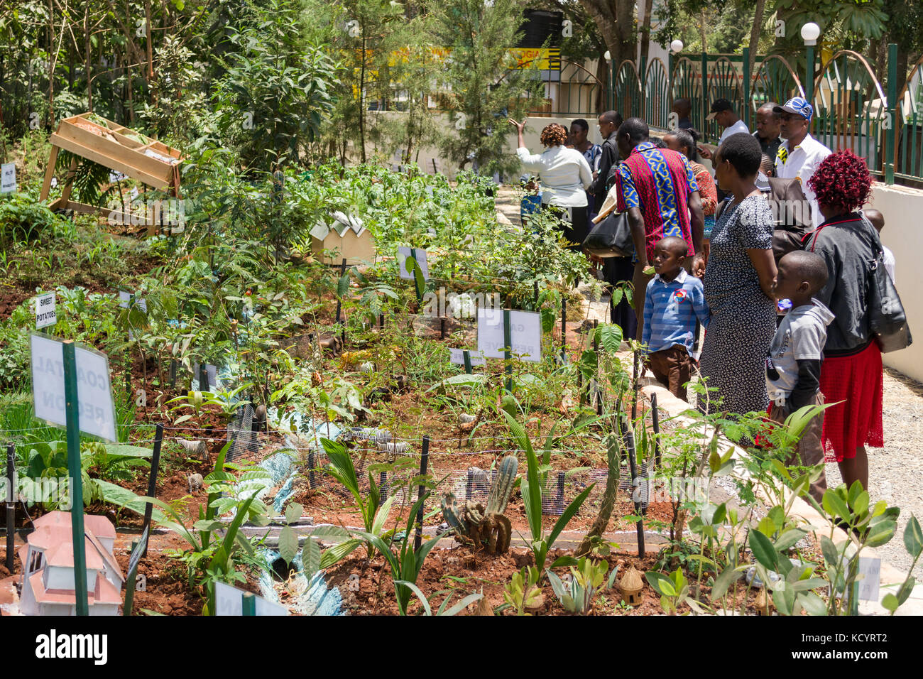 Biotechnologie des arbres Programme Trust afficher, Nairobi Foire commerciale internationale, Kenya Banque D'Images
