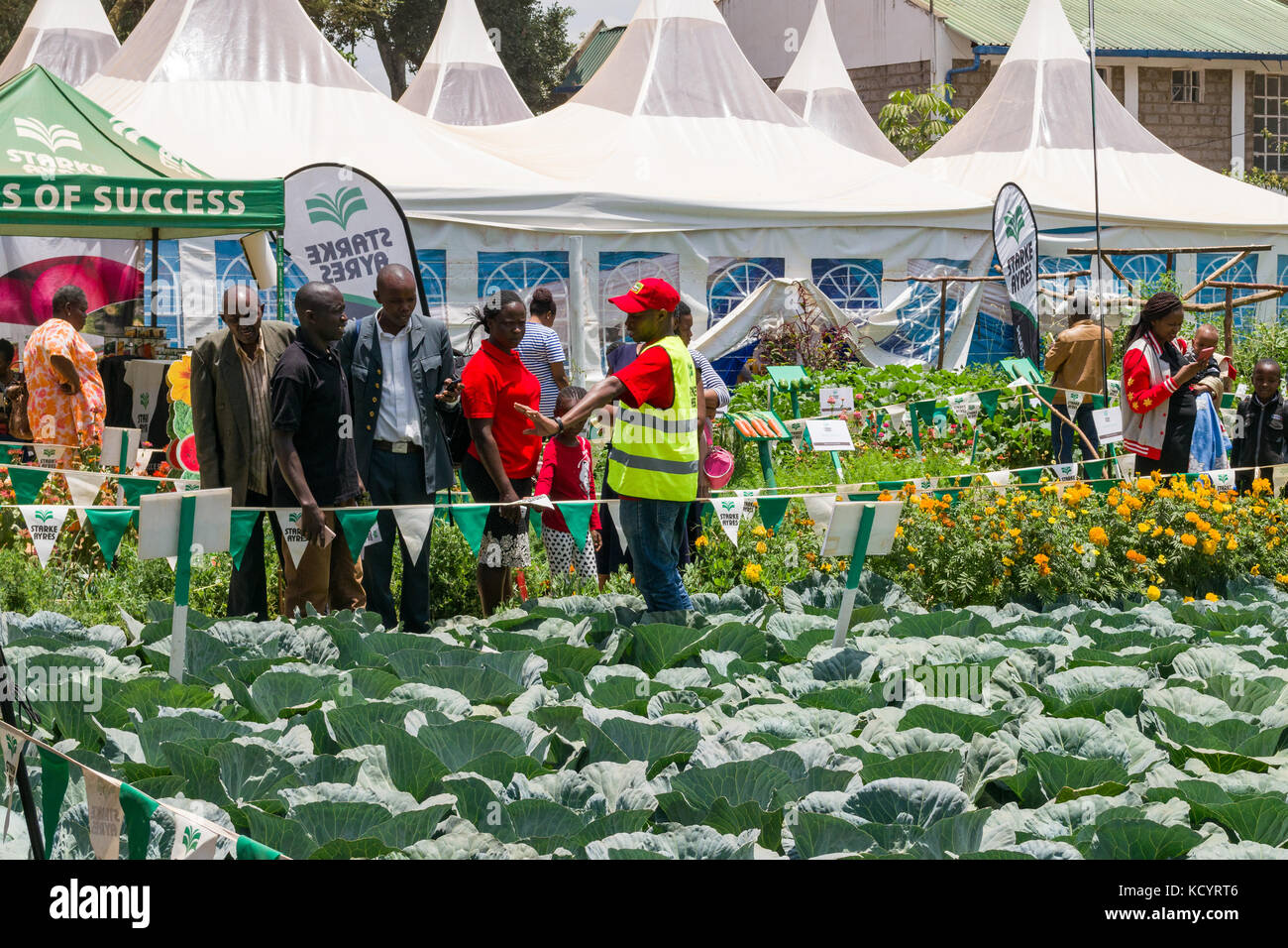 Starke Ayres alimentation l'agriculture la pièce avec des gens, Nairobi Foire commerciale internationale, Kenya Banque D'Images