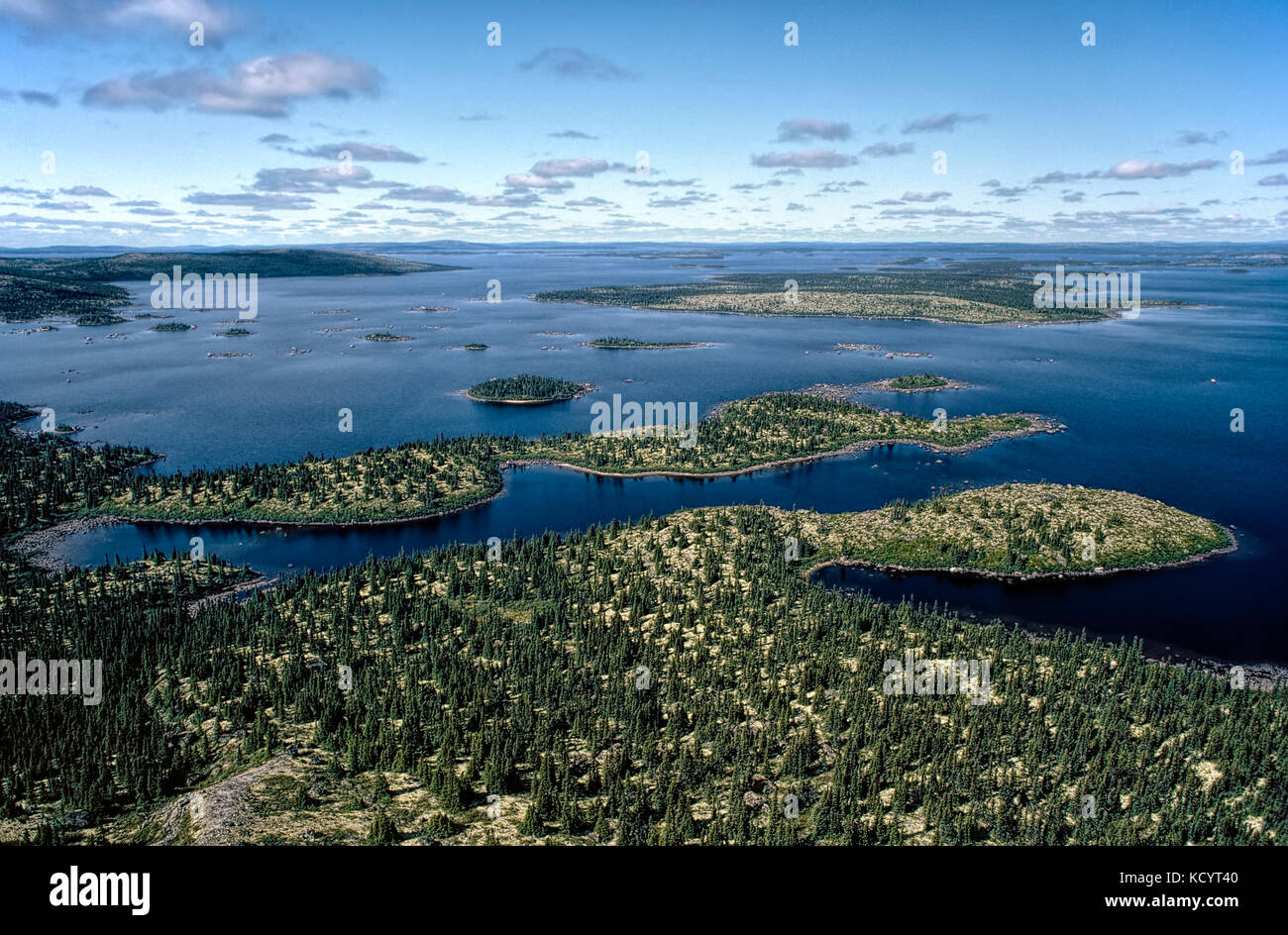 Vue aérienne de la forêt boréale avec l'épinette noire et de lichens dans James-Bay salon, Québec, Canada Banque D'Images