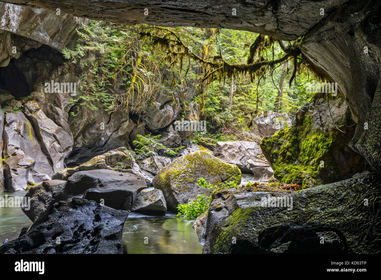 Atluck creek coupant à travers la création de calcaire en fonte huson pont naturel caverne dans peu d'huson grotte parc régional, nord de l'île de Vancouver, Colombie-Britannique, Canada Banque D'Images