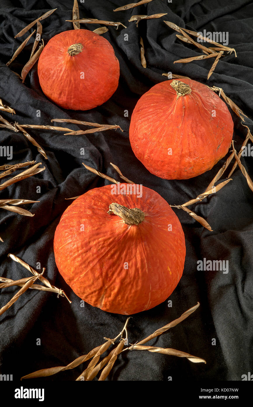 Red kuri squash sur nappe noire Banque D'Images