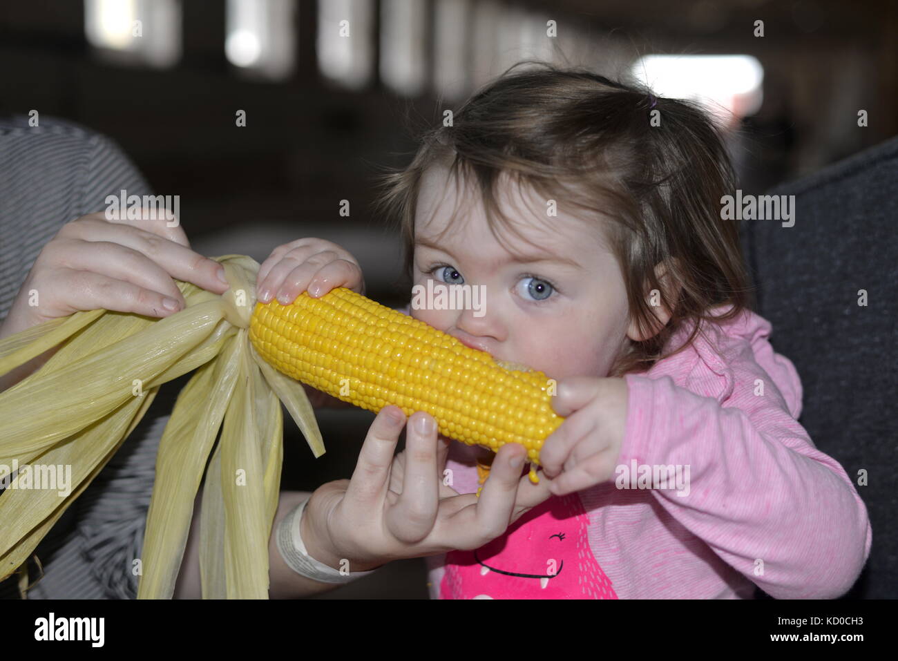 Enfant de manger des épis de maïs Banque D'Images