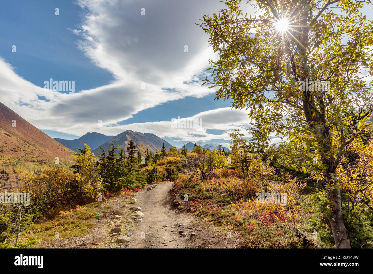 Vue sur les couleurs de l'automne et les montagnes Chugach depuis le sentier de South Fork Eagle River, dans le centre-sud de l'Alaska. Après-midi. Banque D'Images