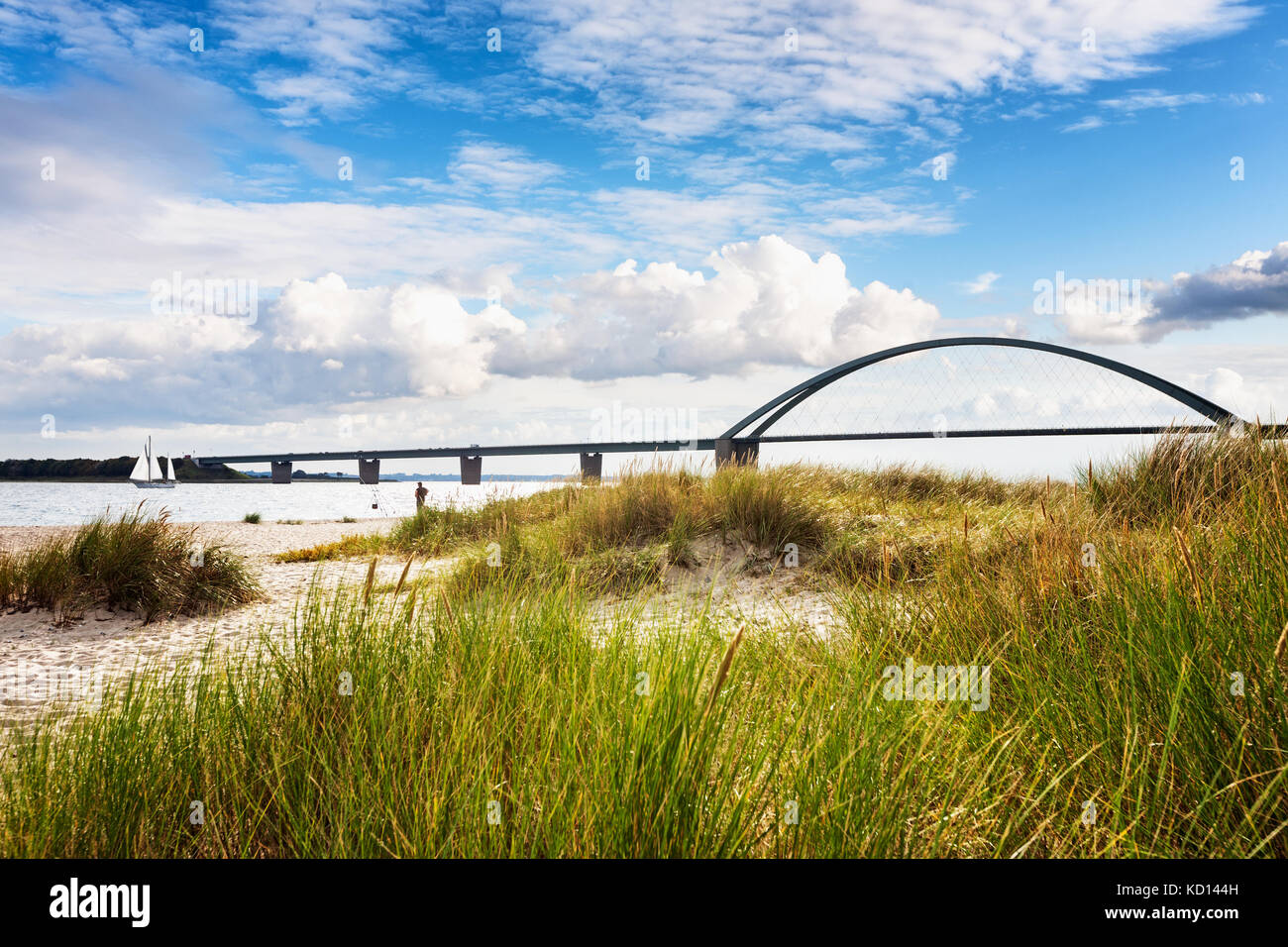 Son fehmarn bridge. fin de l'été avec paysage de dunes, la plage de l'herbe et ciel nuageux. locations de fond. côte de la mer Baltique, l'Allemagne, destination de voyage Banque D'Images