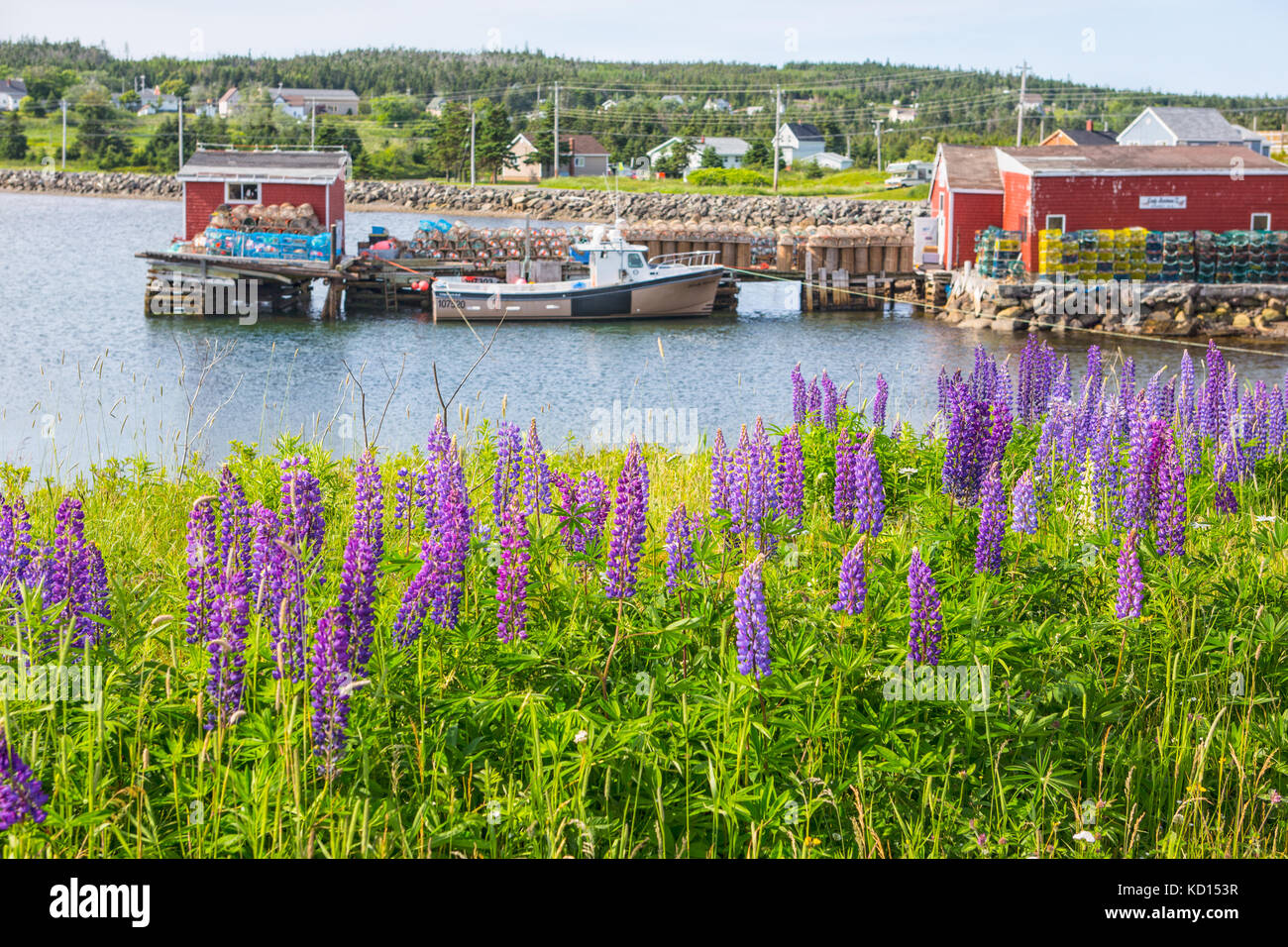 Bateau de pêche amarrés au quai, Louisbourg, île du Cap-Breton, Nouvelle-Écosse, Canada Banque D'Images