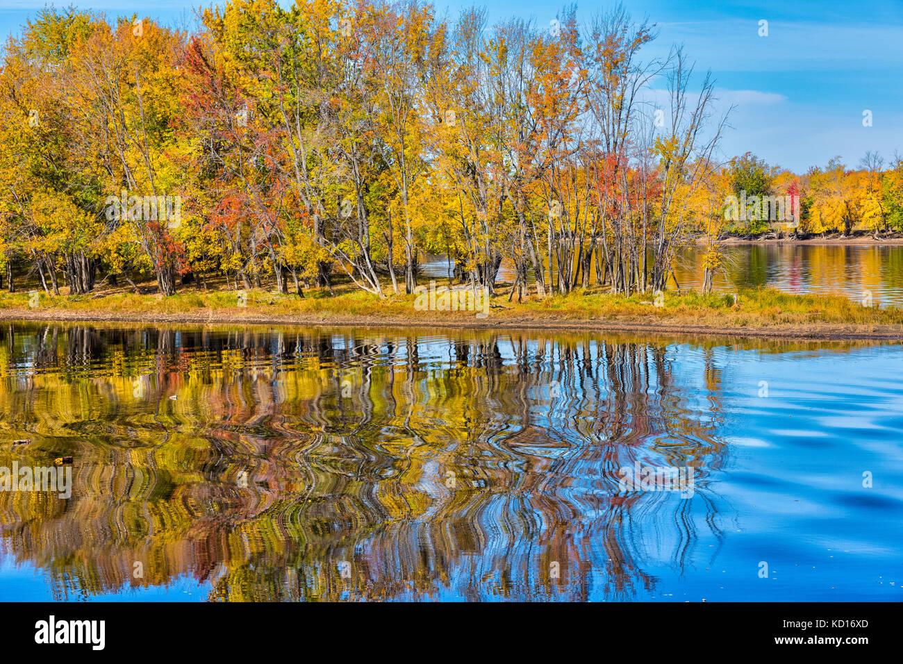 Reflet de feuillage d'automne, parc Sir Douglas Hazen, Oromocto, Nouveau-Brunswick, Canada Banque D'Images