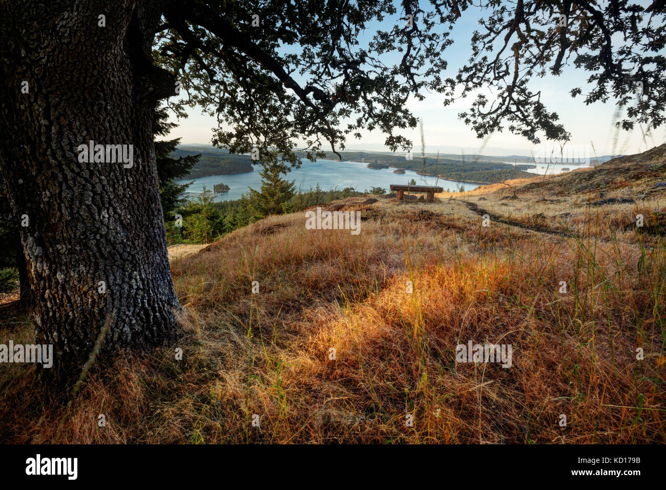 Vue sur la baie de Massacre sous un chêne de Garry et un pré herbacé sur Turtleback Mountain, Orcas Island, Washington, États-Unis Banque D'Images