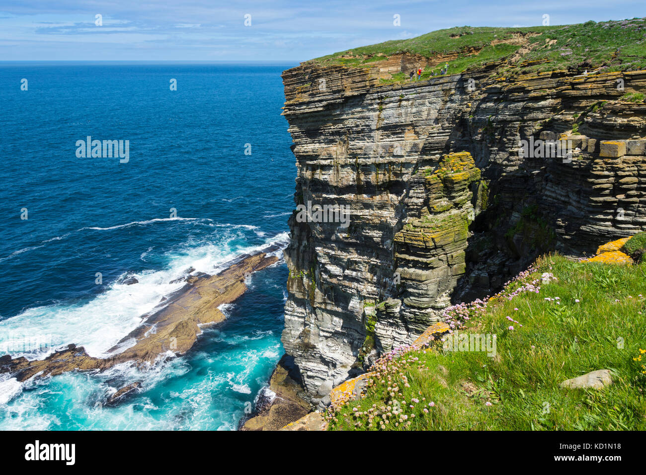 Falaises à Marwick Head, Orkney Mainland, Écosse, Royaume-Uni. Banque D'Images