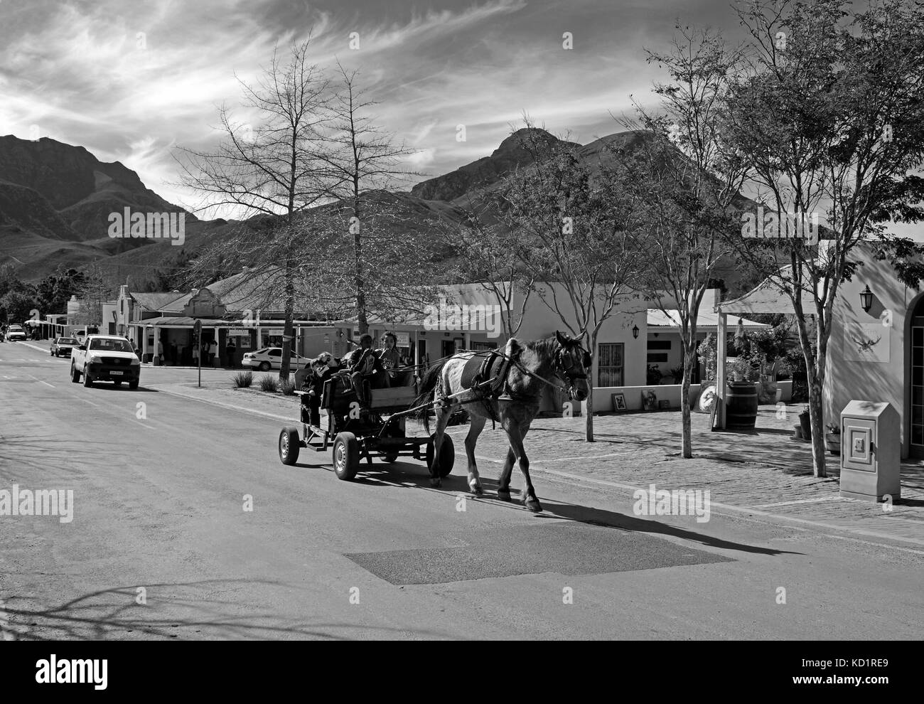 Les visiteurs ayant un lecteur dans une charrette à âne dans la route principale du village pittoresque de greyton dans la province occidentale de l'Afrique du Sud.b&w photographie Banque D'Images