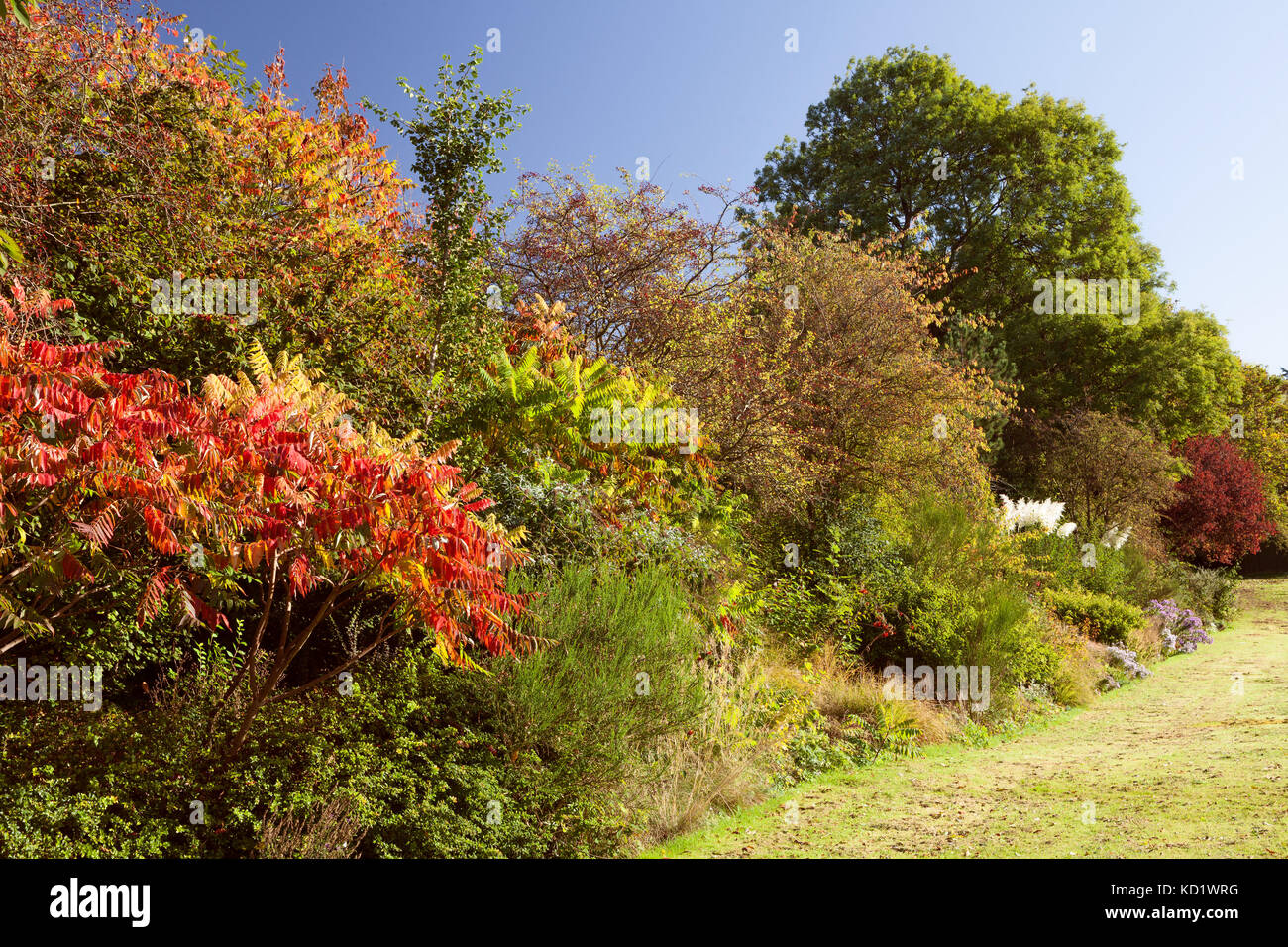 Kingsway gardens, Scunthorpe, Lincolnshire du nord. octobre 2017. Banque D'Images