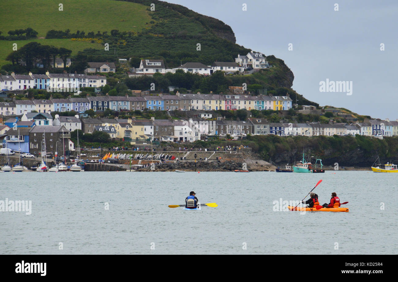 Kayak off New Quay harbour, Ceredigion, pays de Galles Banque D'Images
