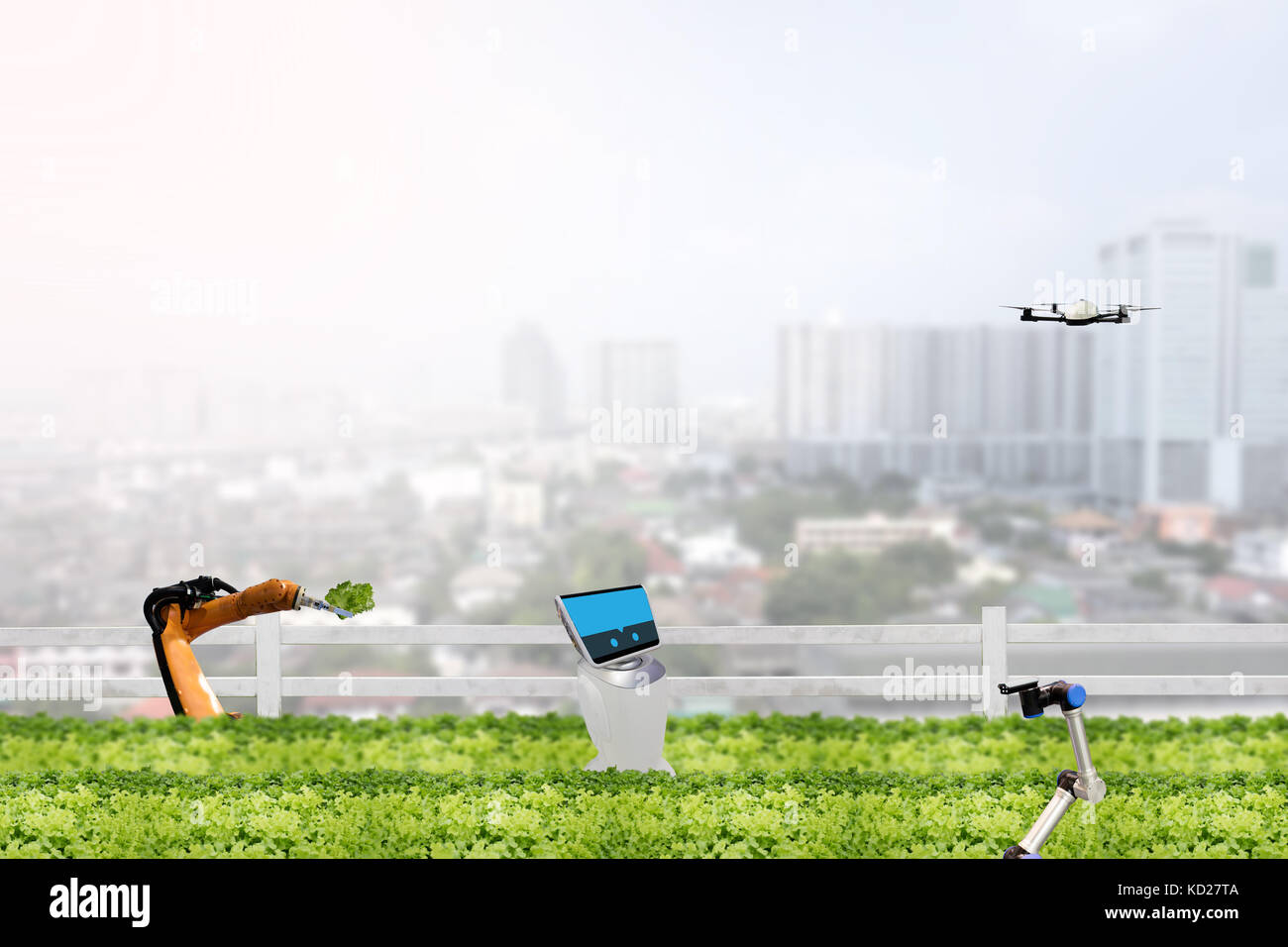 Concept d'agriculture intelligente, d'un robot dans l'agriculture les travaux de terrain en milieu urbain ou la ferme verticale et contrôler, surveiller la gestion,maintenir l'analyse des données dans chaque jour en t Banque D'Images