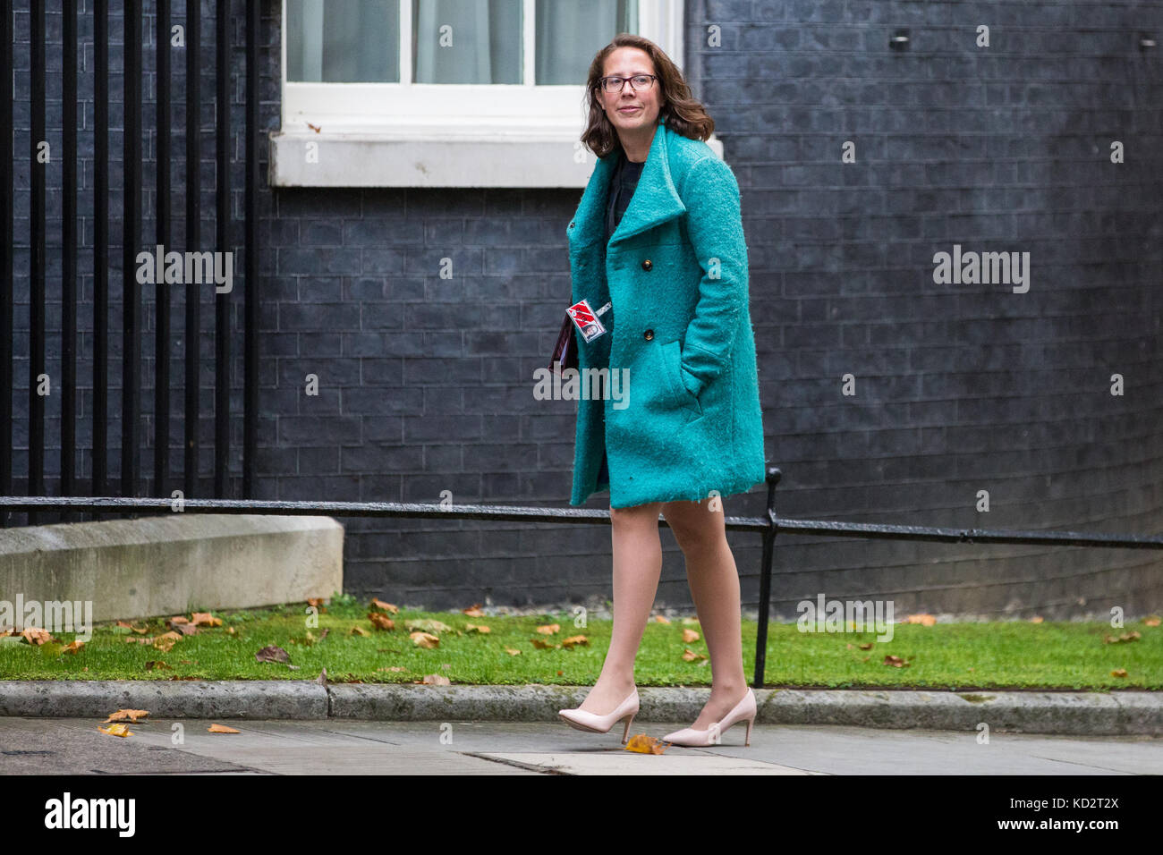 Londres, Royaume-Uni. 10 oct, 2017. La baronne evans de bowes park, chef de la Chambre des lords et lord du Sceau privé, arrive au 10 Downing Street pour une réunion du cabinet. crédit : mark kerrison/Alamy live news Banque D'Images