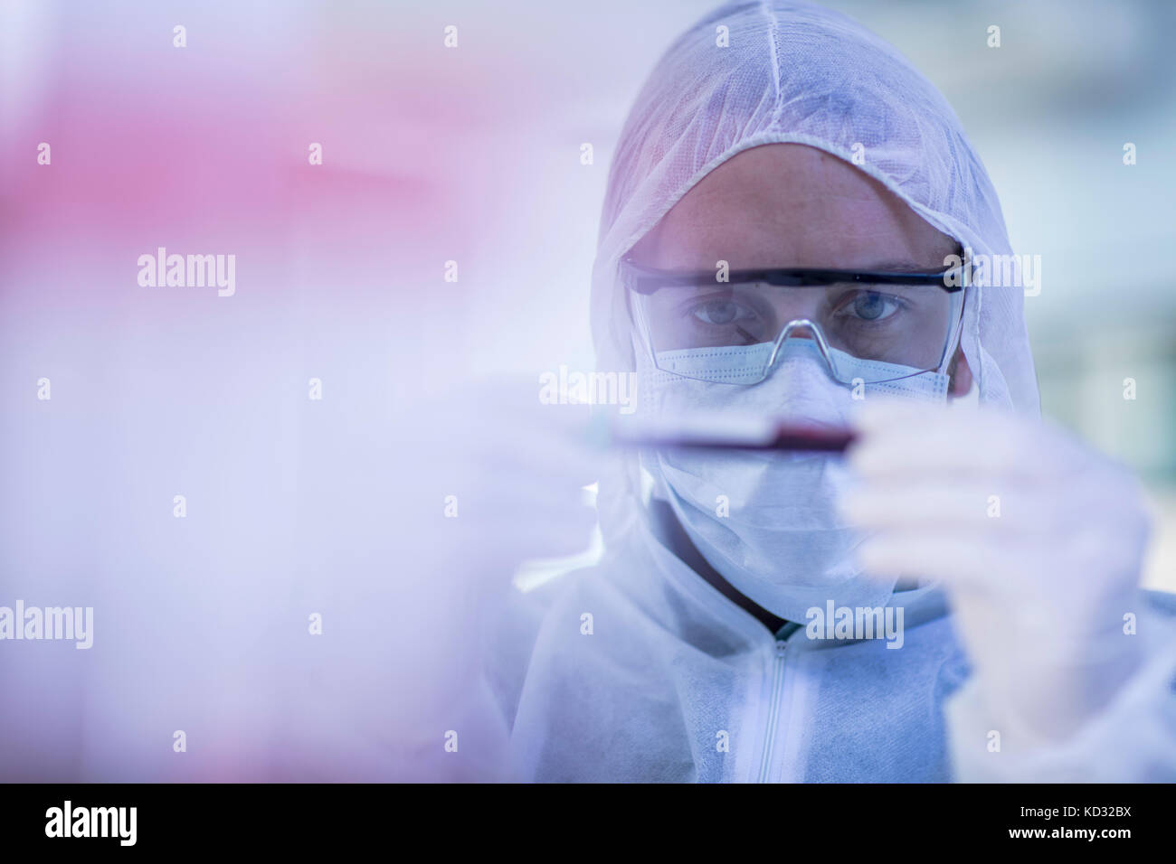 Travailleur de laboratoire examining test tube Banque D'Images