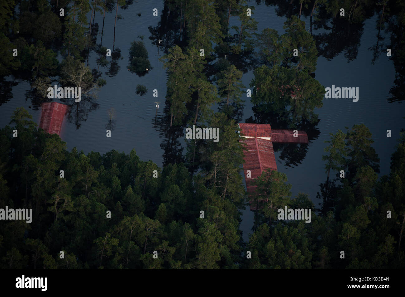 Les maisons sont submergés en raison de l'augmentation des niveaux d'eau près de Andrews, s.c., 9 oct., 2015. l'historique des inondations, ce qui a causé les dommages, la destruction et la mort tout au long de la Caroline du Sud, a été le résultat de record de précipitations au cours de ce qui était considéré comme un événement de pluie 1 000 ans livré par l'ouragan joaquin comme il est passé de la côte est. (Photo par le sergent douglas ellis/libérés) Banque D'Images