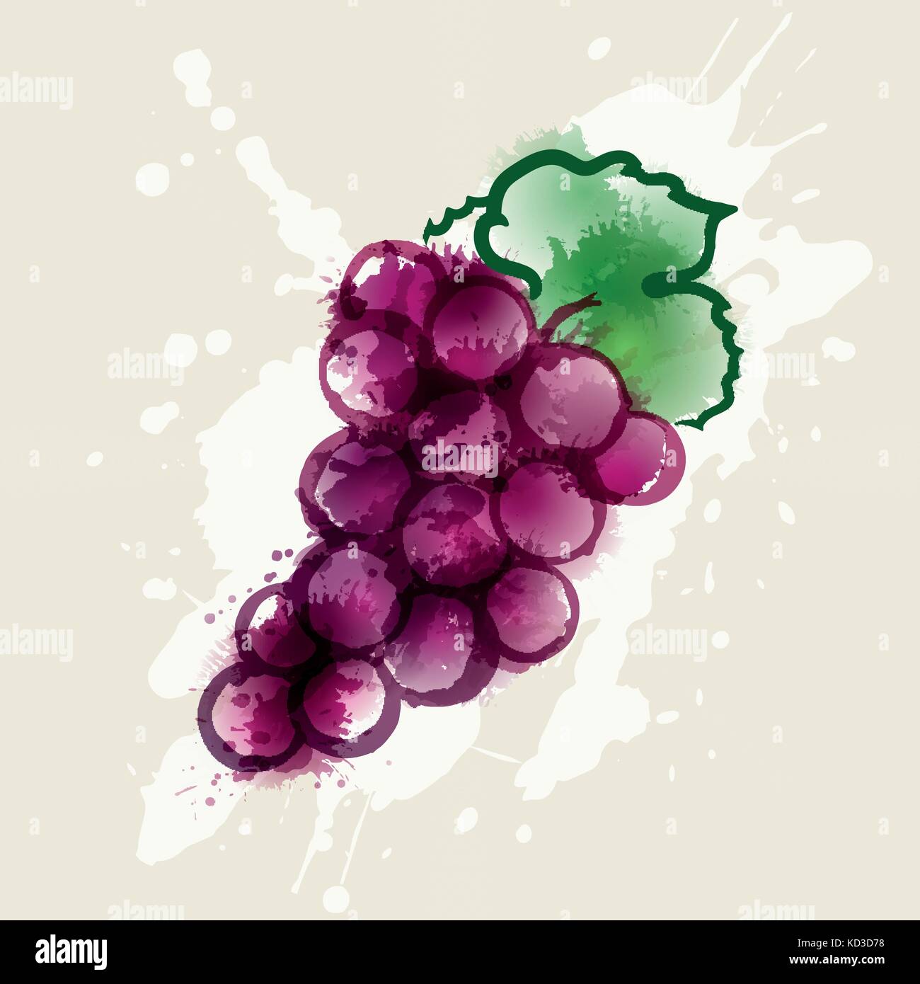 Illustration grappe de raisins. Taches de couleur. Traits faits à la main. Vector Illustration de Vecteur