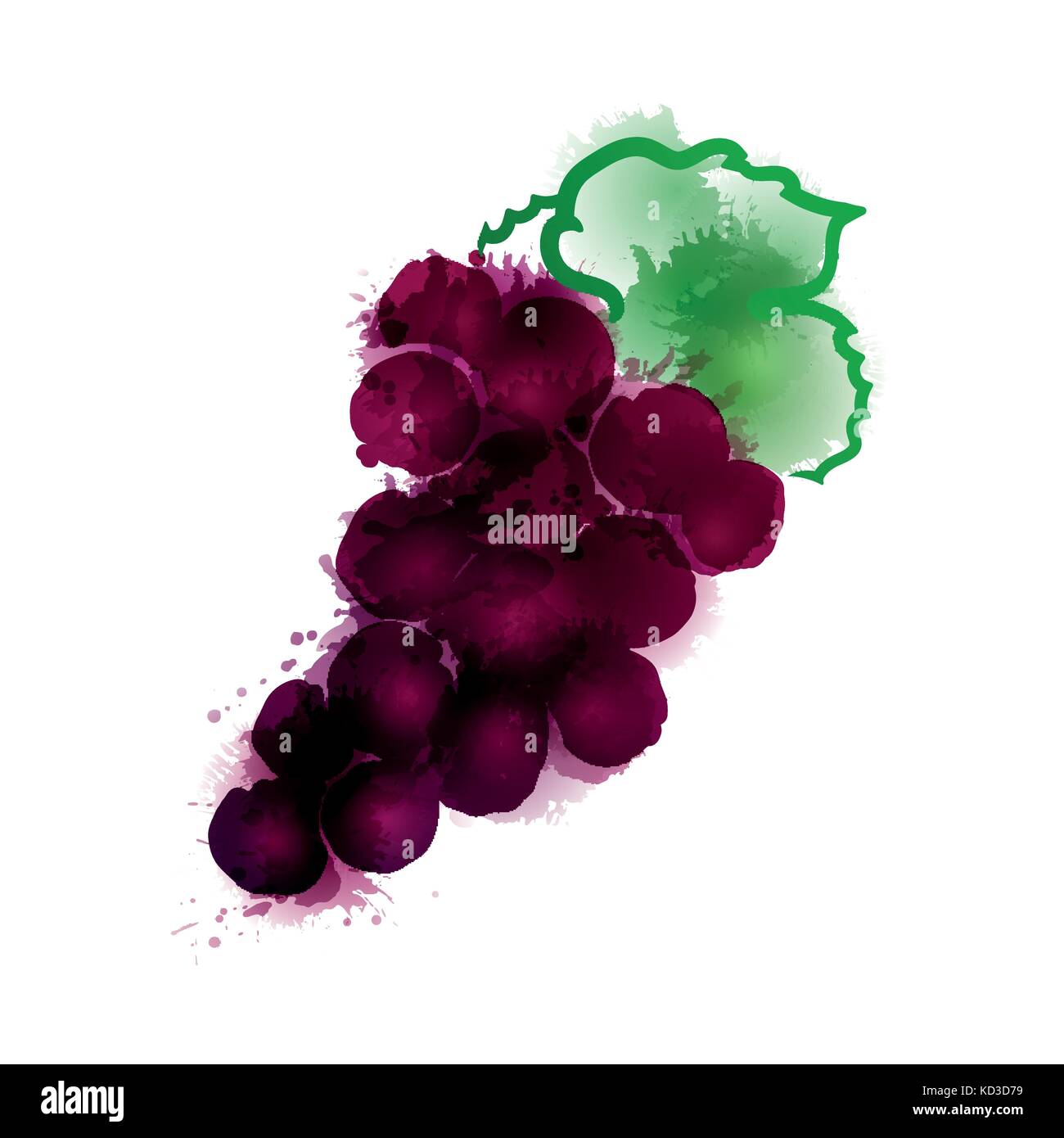 Illustration grappe de raisins. Taches de couleur. Traits faits à la main. Vector Illustration de Vecteur