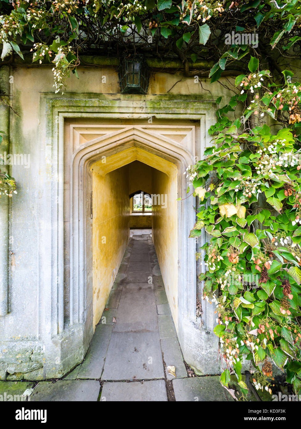 Tunnel menant au cloître quad, Magdalen College, Université d'Oxford, Oxford, Oxfordshire, Angleterre Banque D'Images Tunnel menant au cloître quad, Magdalen College, Université d'Oxford, Oxford, Oxfordshire, Angleterre Banque D'Images