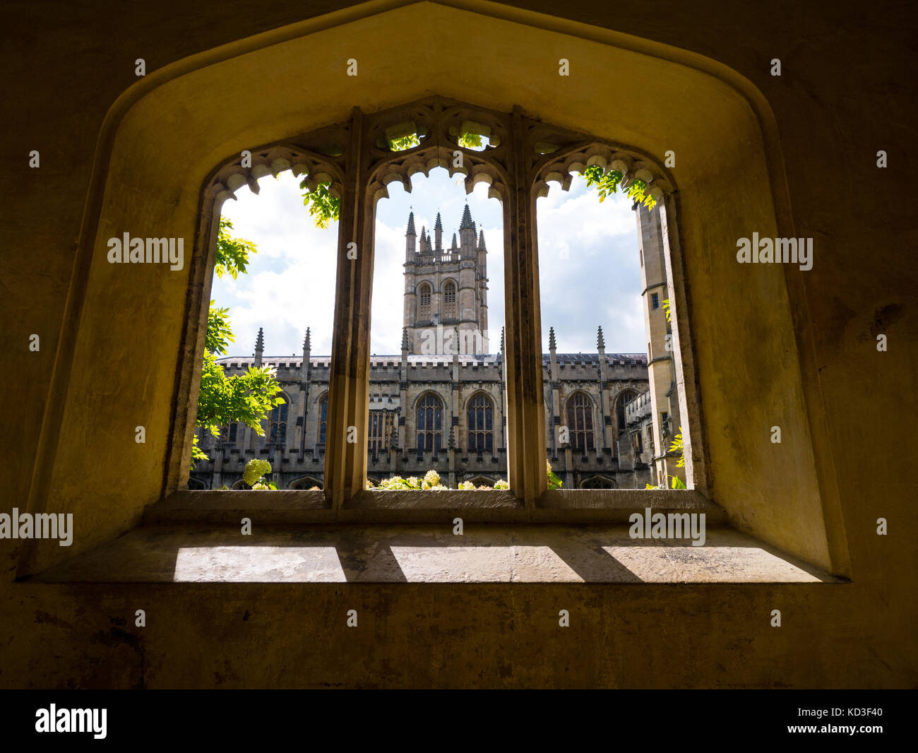 Vue sur le cloître et la Tour-de-la-Madeleine quad fenêtre jeté, Magdalen College, Université d'Oxford, Oxford, Oxfordshire, Angleterre Banque D'Images Vue sur le cloître et la Tour-de-la-Madeleine quad fenêtre jeté, Magdalen College, Université d'Oxford, Oxford, Oxfordshire, Angleterre Banque D'Images