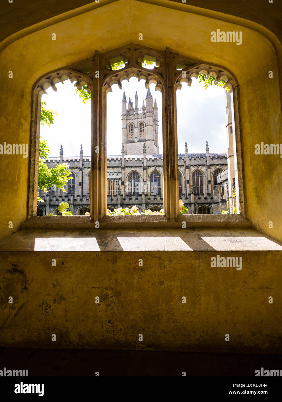 Vue sur le cloître et la Tour-de-la-Madeleine quad fenêtre jeté, Magdalen College, Université d'Oxford, Oxford, Oxfordshire, Angleterre Banque D'Images Vue sur le cloître et la Tour-de-la-Madeleine quad fenêtre jeté, Magdalen College, Université d'Oxford, Oxford, Oxfordshire, Angleterre Banque D'Images