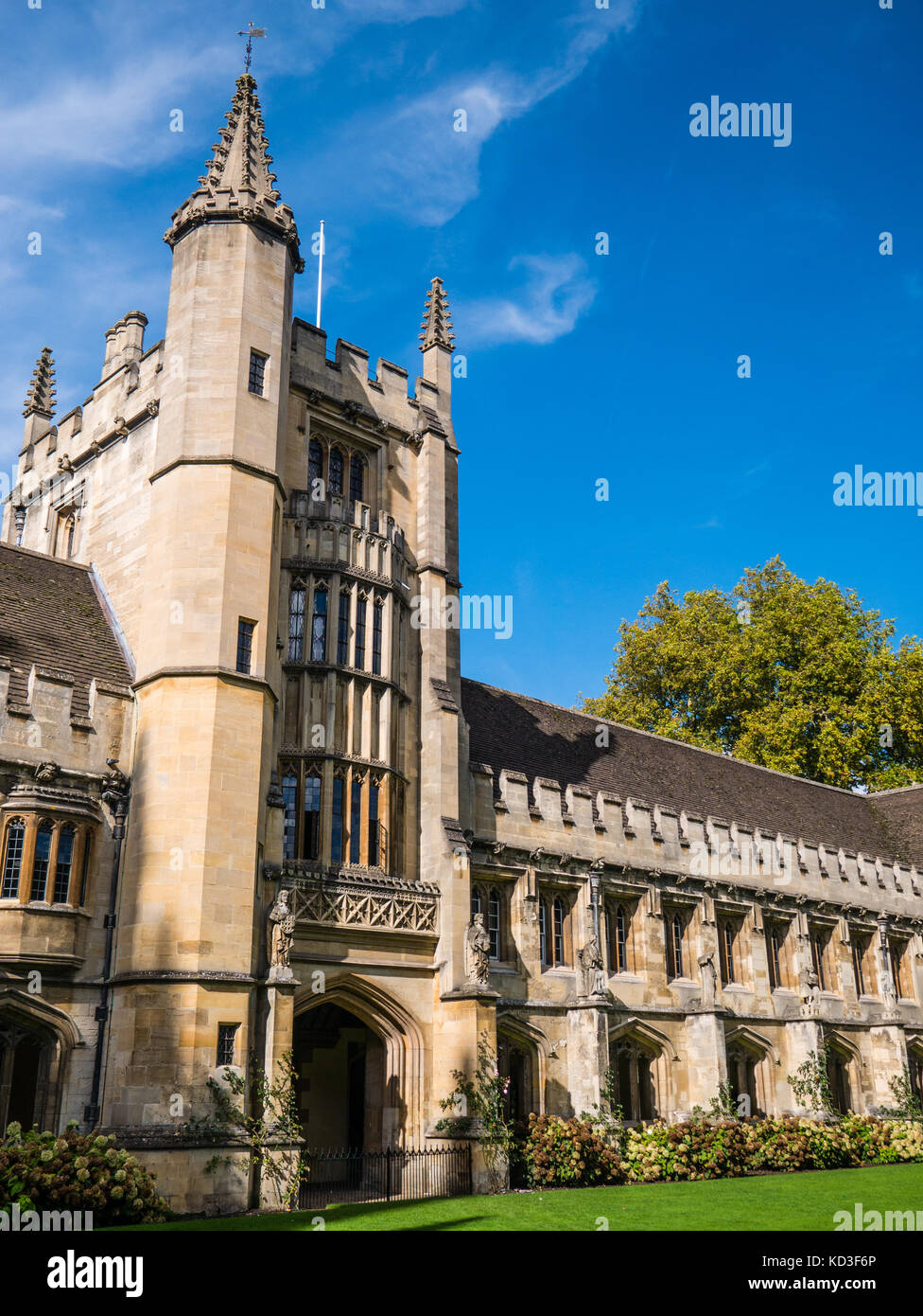 La tour des fondateurs, des cloîtres quad, Magdalen College, Université d'Oxford, Oxford, Oxfordshire, Angleterre Banque D'Images La tour des fondateurs, des cloîtres quad, Magdalen College, Université d'Oxford, Oxford, Oxfordshire, Angleterre Banque D'Images