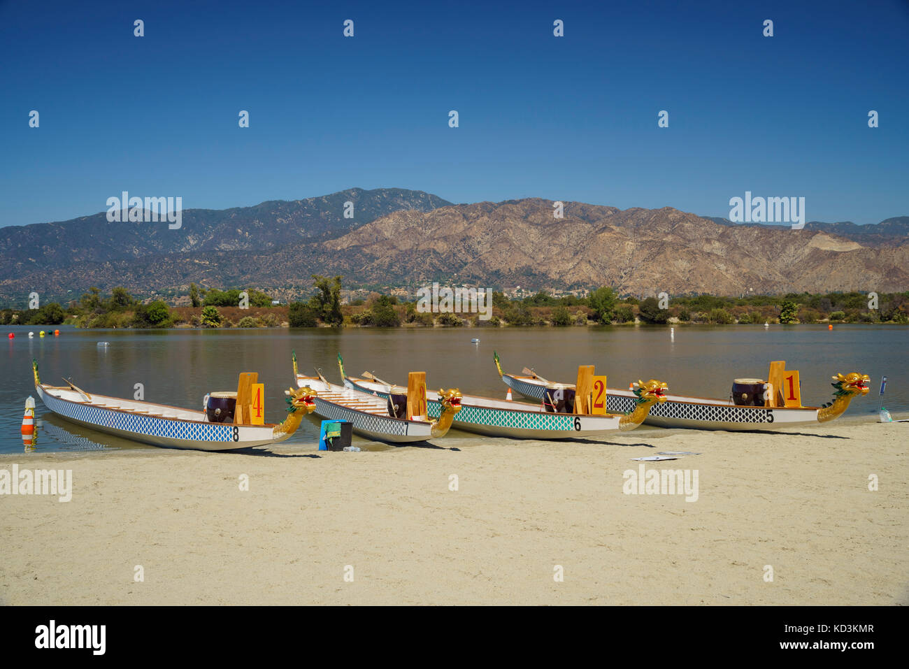 Dragon Boat at Santa Fe dam Recreation Area, Los Angeles County, Californie, États-Unis Banque D'Images