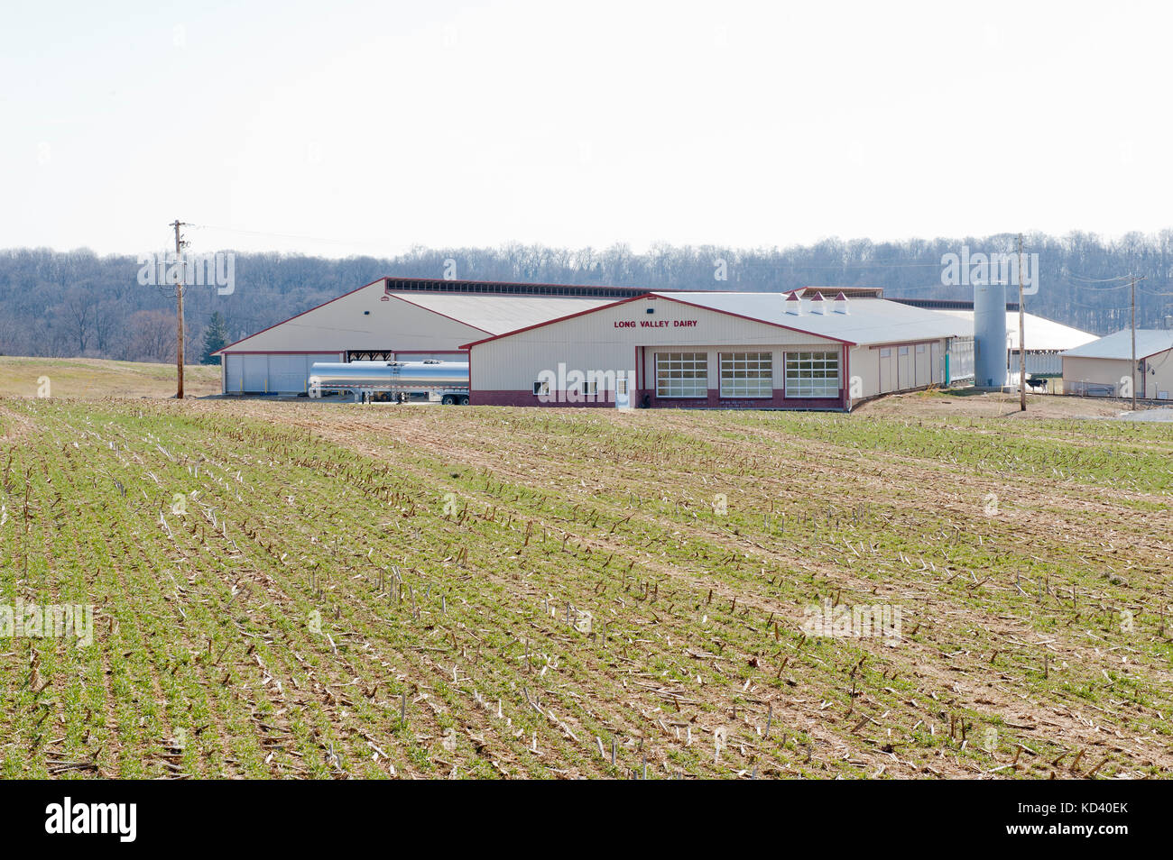 Avis de domaine menant à de nouvelles ferme laitière en opération, Pennsylvanie Banque D'Images