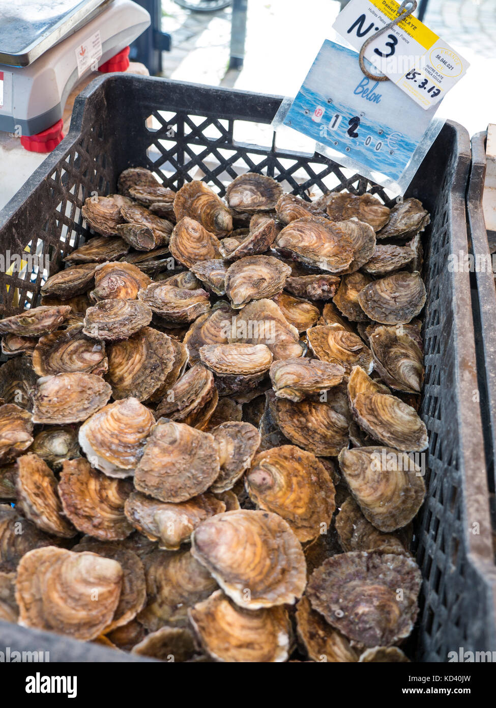 HUÎTRES huîtres à coquille plate 'Belon' en vente au marché aux poissons du port Riec sur Belon Port Belon Bretagne France Banque D'Images HUÎTRES huîtres à coquille plate 'Belon' en vente au marché aux poissons du port Riec sur Belon Port Belon Bretagne France Banque D'Images