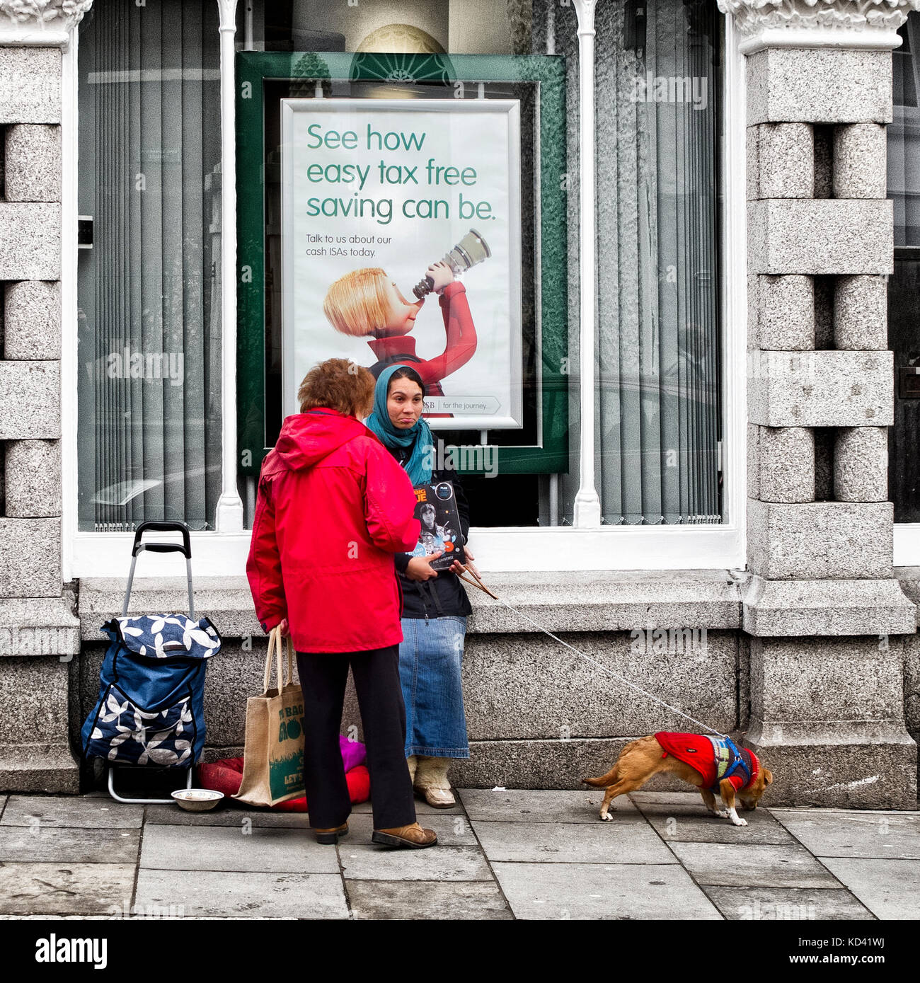 Une jeune femme avec un foulard vendant le Big issue par une banque de Totnes Devon, avec un chien en laisse, un chariot et parlant à un client Banque D'Images