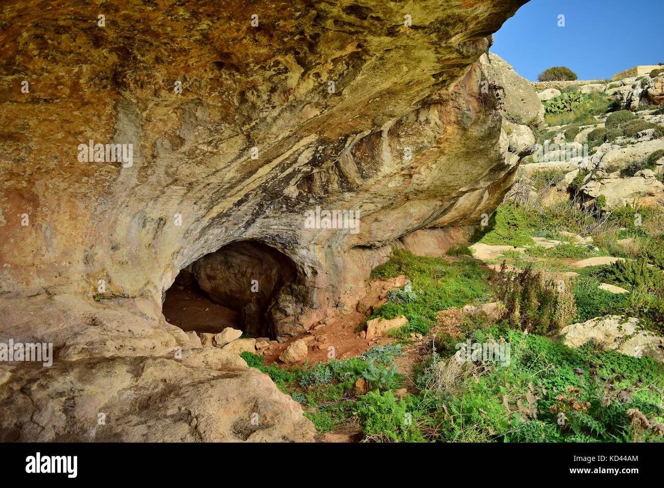 Entrée d'une petite grotte formée dans une vallée, dans le calcaire maltais, une formation géologique typique du paysage karstique. Ghar il-Buz, Birzebbuga, Malte Banque D'Images