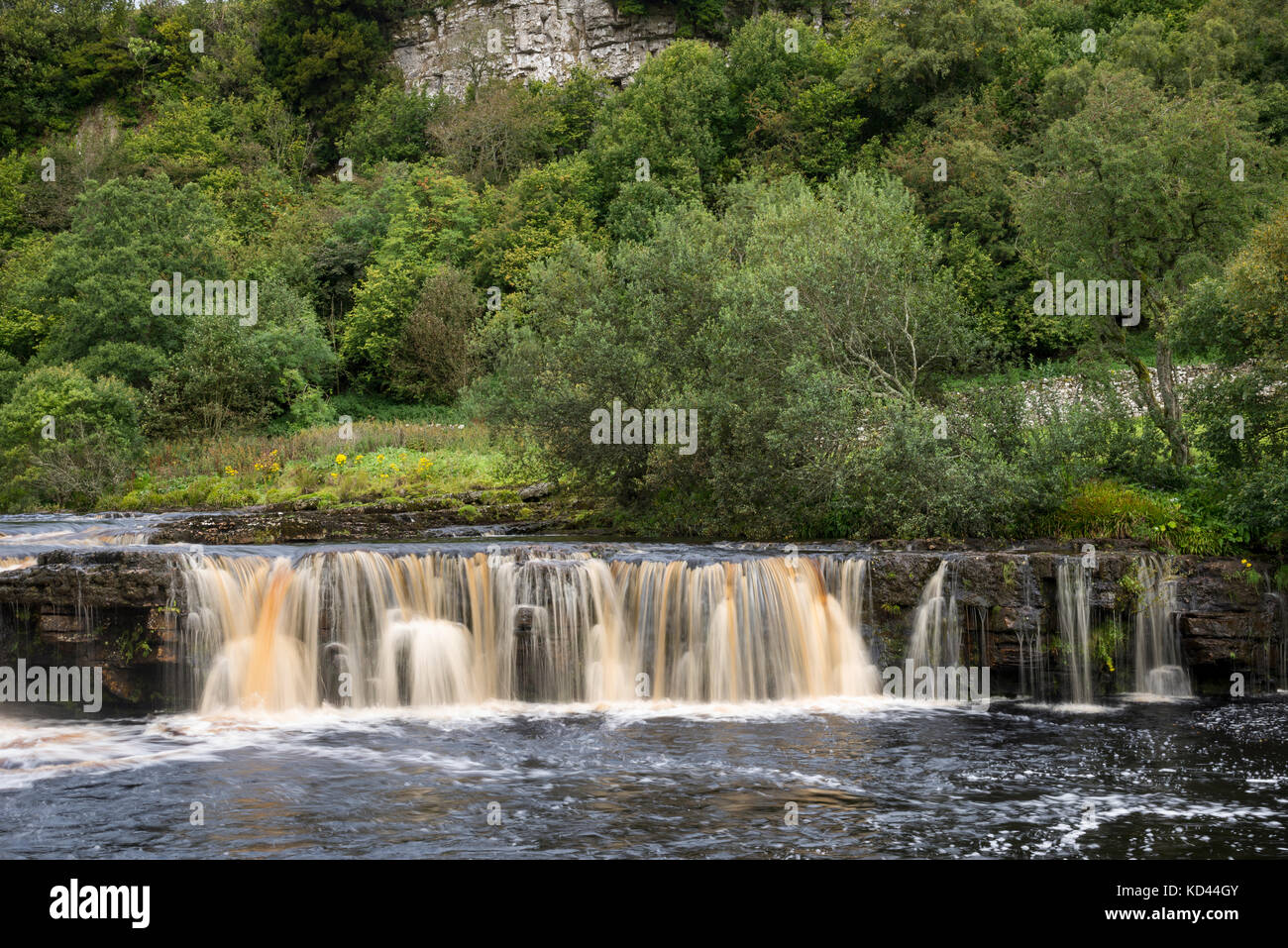 Le wath wain vigueur près de keld dans la région de swaledale, North Yorkshire, Angleterre. Banque D'Images