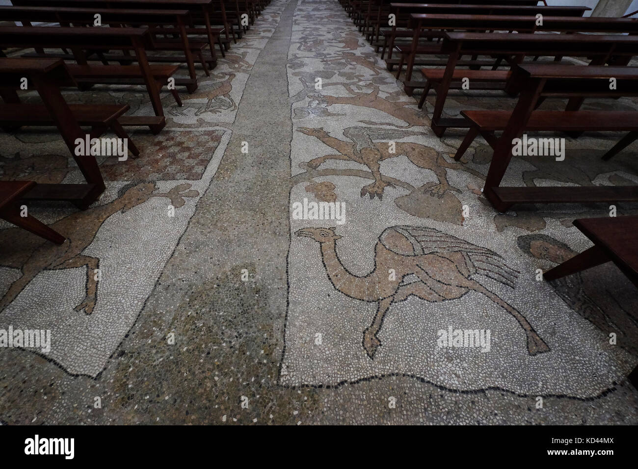 Pavé en mosaïque de 1166 par l'évêque Jonathas à l'intérieur de la cathédrale d'Otranto, Puglia, Italie Banque D'Images