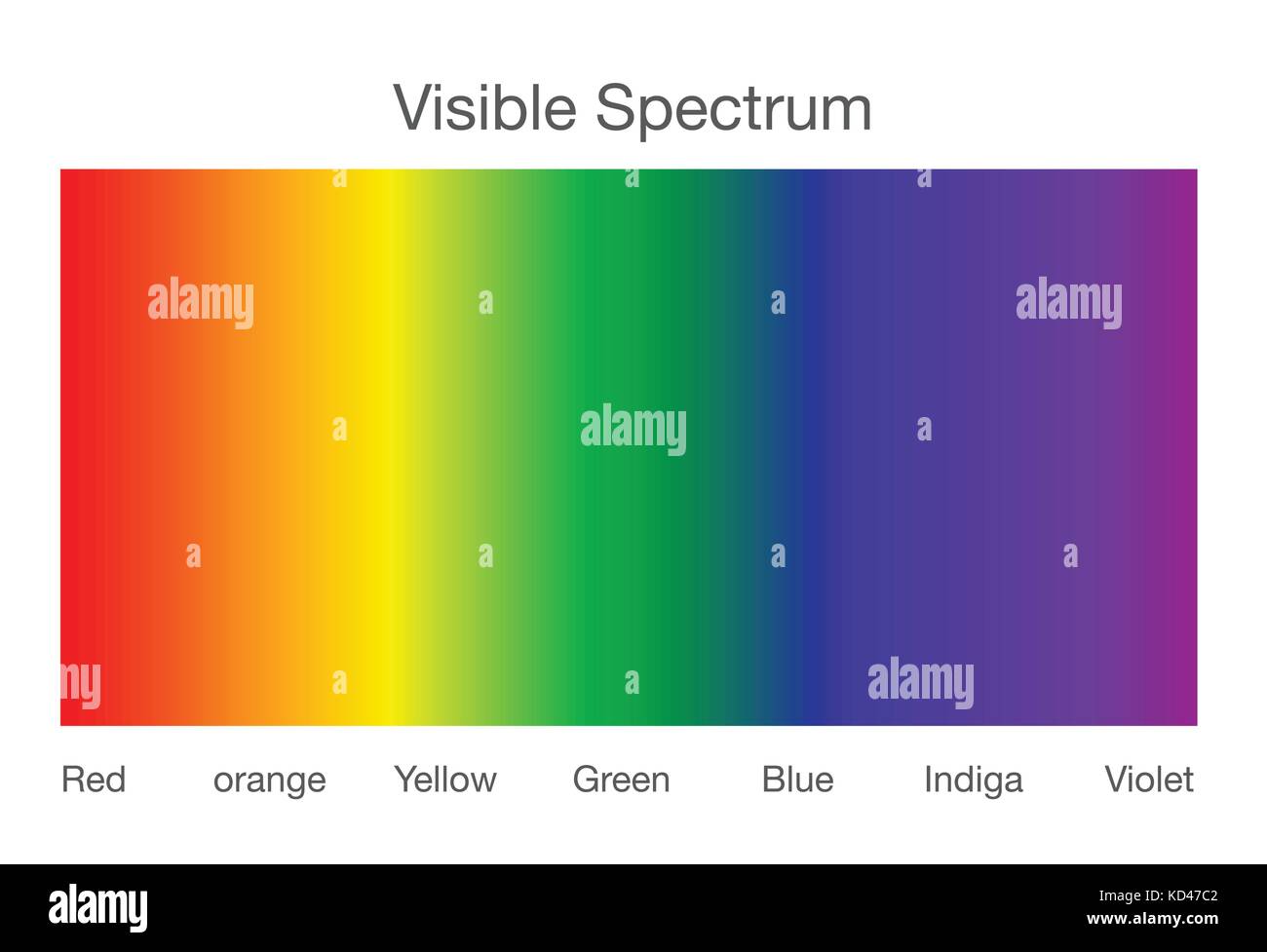 Spectre visible de la lumière. Illustration de Vecteur