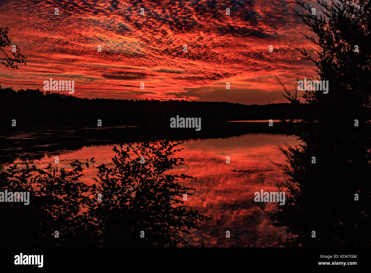 Coucher de soleil sur le lac Glendale, terrain de camping d'Oak point, forêt nationale de Shawnee, Golconda Illinois, Banque D'Images