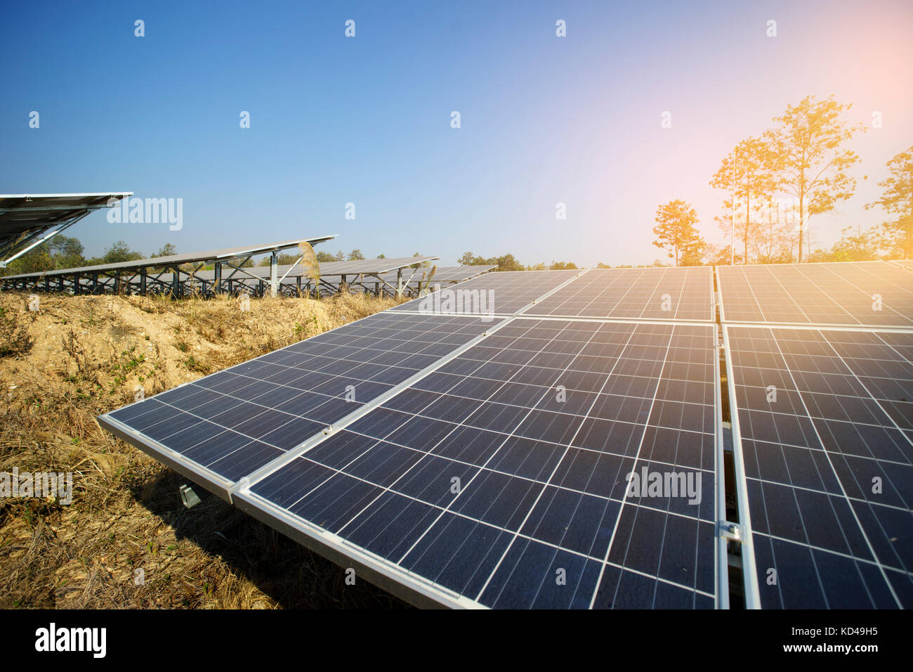 L'énergie verte à partir de la ferme solaire la lumière du soleil montre beaucoup de plaque de cellules solaires Banque D'Images