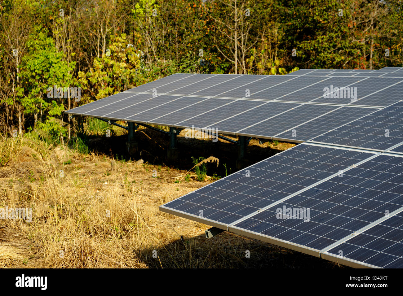 L'énergie verte à partir de la ferme solaire la lumière du soleil montre beaucoup de plaque de cellules solaires Banque D'Images