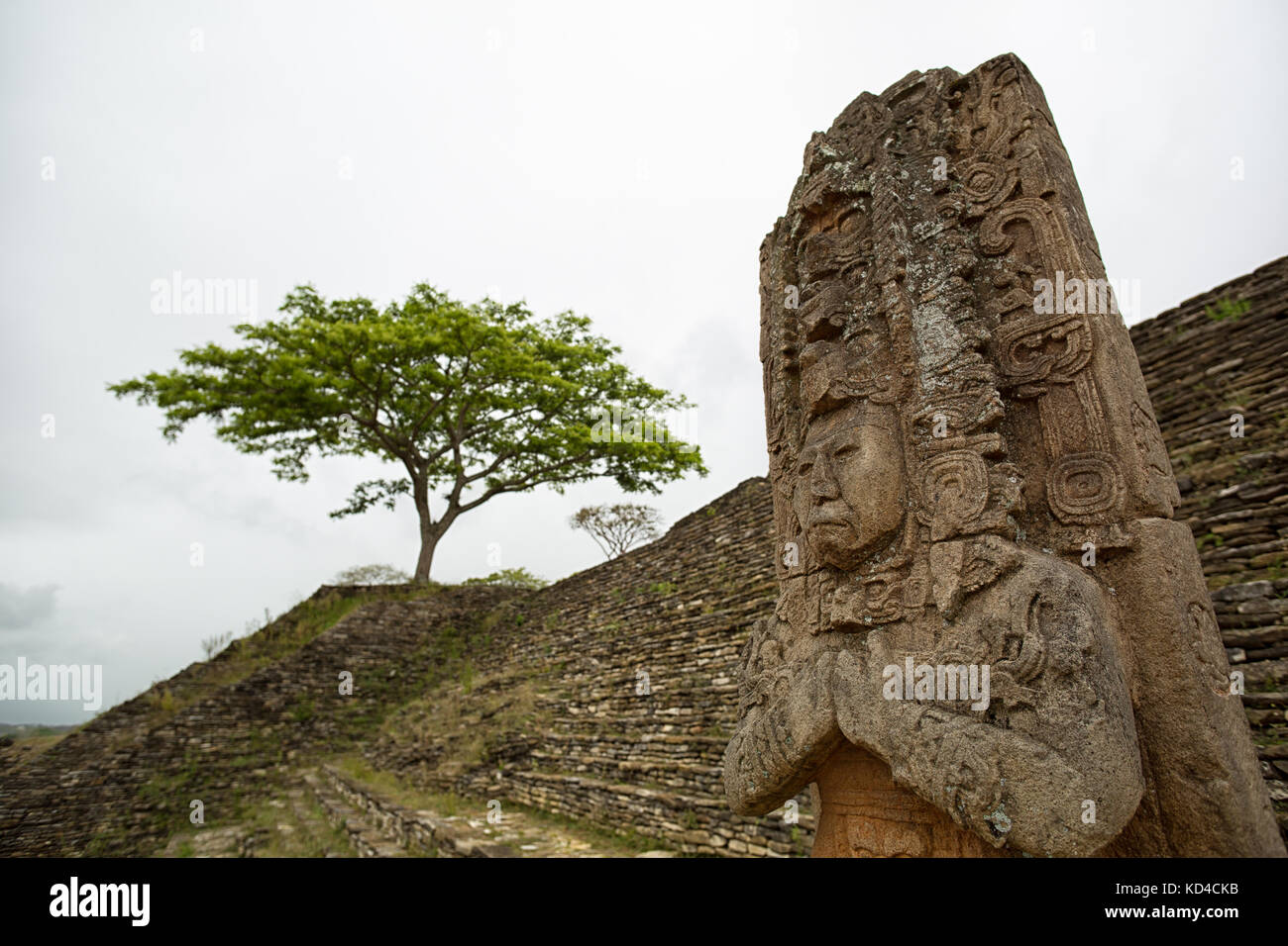 Statue de règle d'oiseaux jaguar en pécari tonina Chiapas Mexique avec arbre solitaire dans l'arrière-plan sur un jour de pluie Banque D'Images