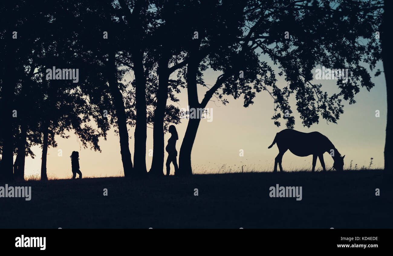 Silhouette d'une femme enceinte, petite fille, cheval et arbres dans un champ au coucher du soleil Banque D'Images