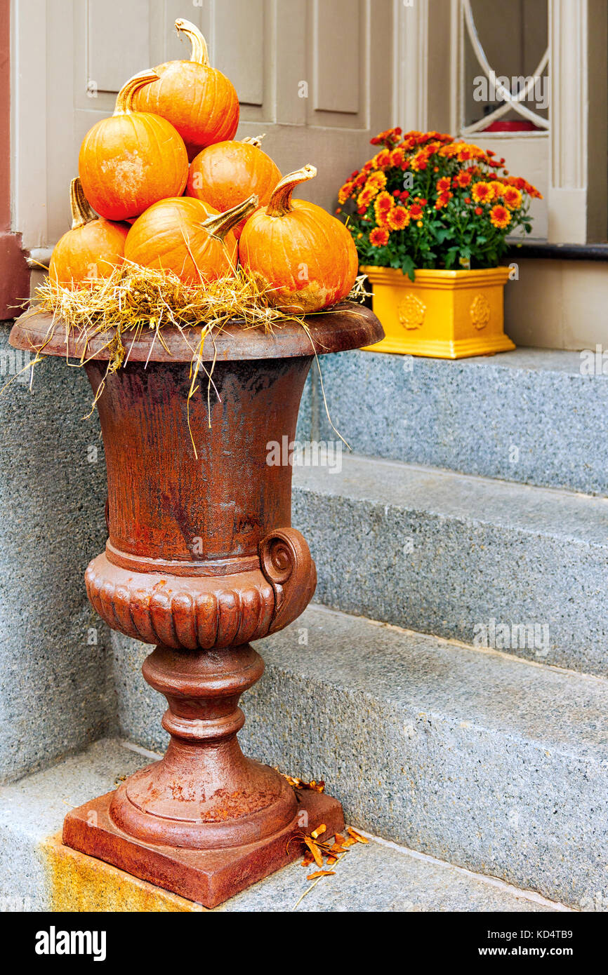 Grande urne semoir ornés rempli de mini citrouilles dans un affichage de saison à l'extérieur d'une porte avant. Location : Boston, Beacon Hill Banque D'Images