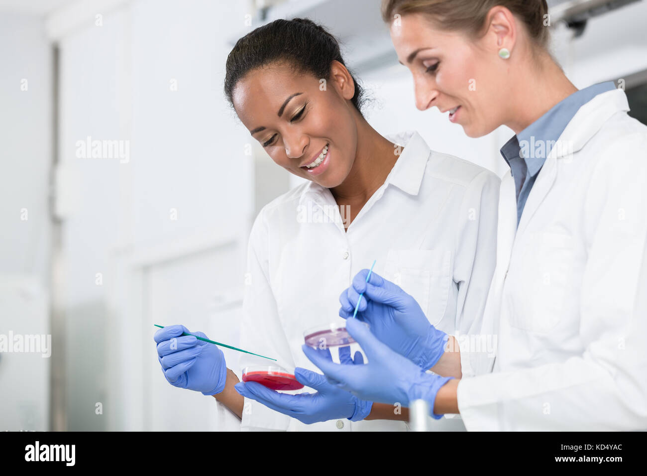 Les femmes dans la recherche de parler de laboratoire des tests sur échantillons germe Banque D'Images