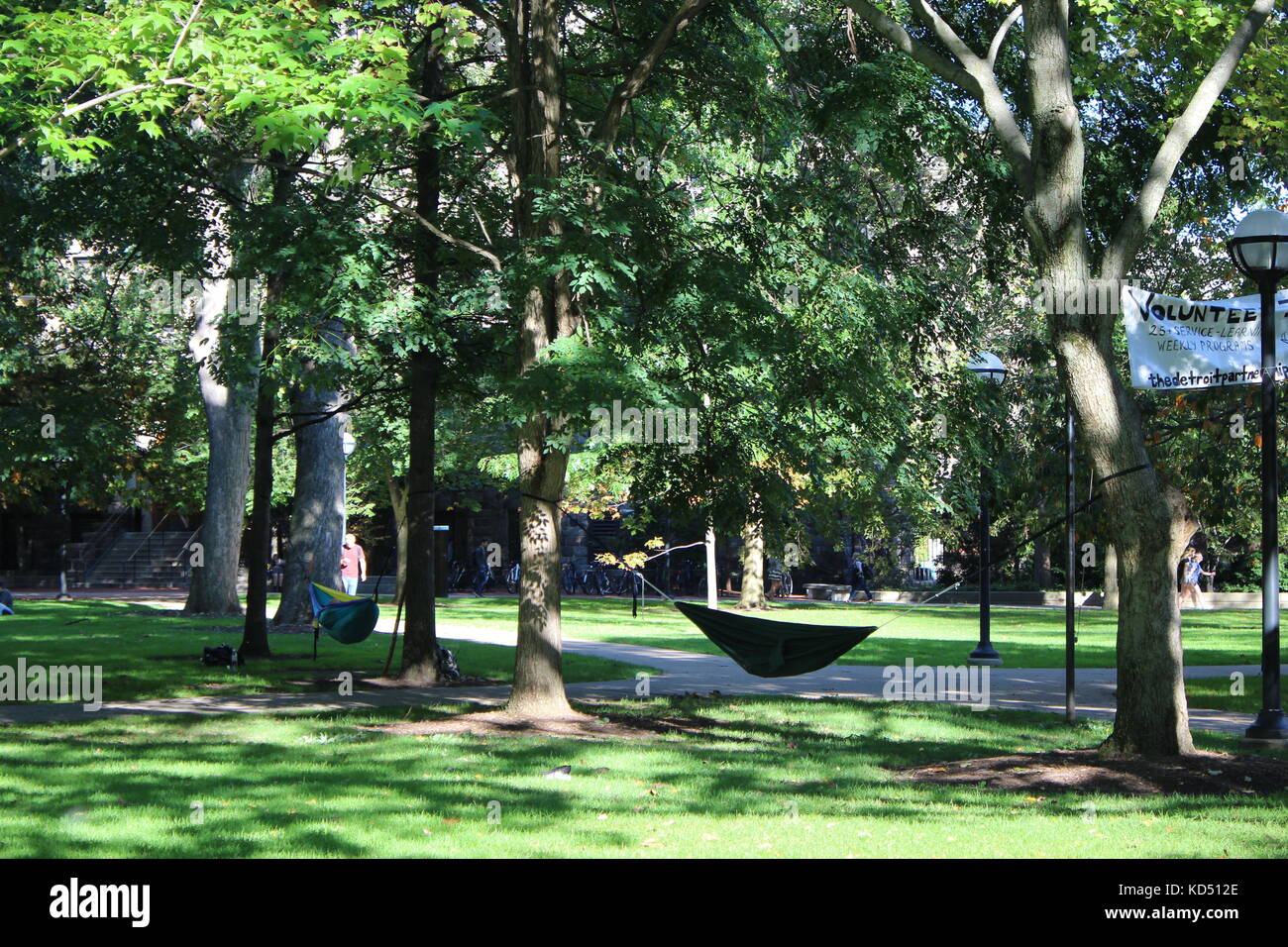 Eno un hamac suspendu au milieu de l'université du Michigan diagnostic partie de campus au centre-ville d'Ann Arbor qui ressemble à un grand parc pittoresque Banque D'Images