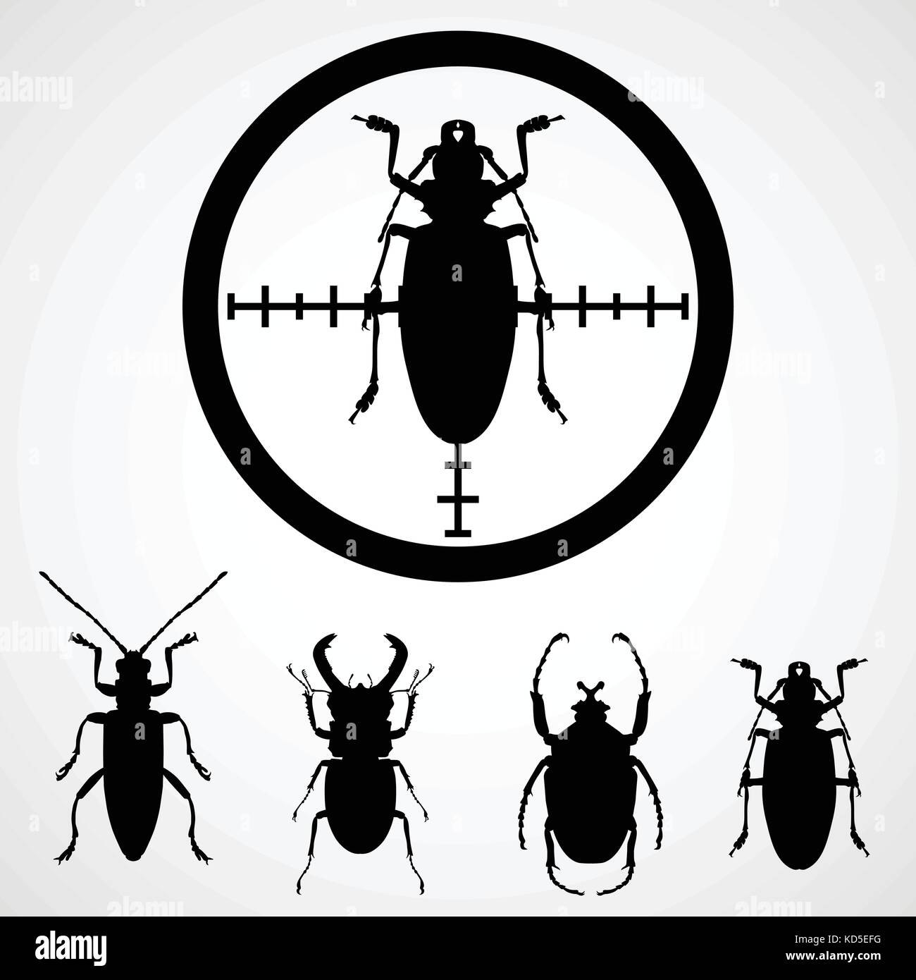 Bug dans le réticule d'insectes - insecticide, cancrelat sur cible Illustration de Vecteur
