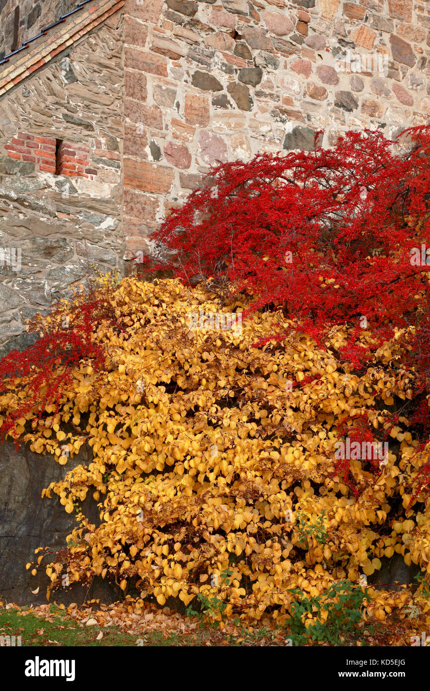 Couleurs d'automne à la cité médiévale la forteresse (ou château) à Oslo, Norvège Banque D'Images Couleurs d'automne à la cité médiévale la forteresse (ou château) à Oslo, Norvège Banque D'Images