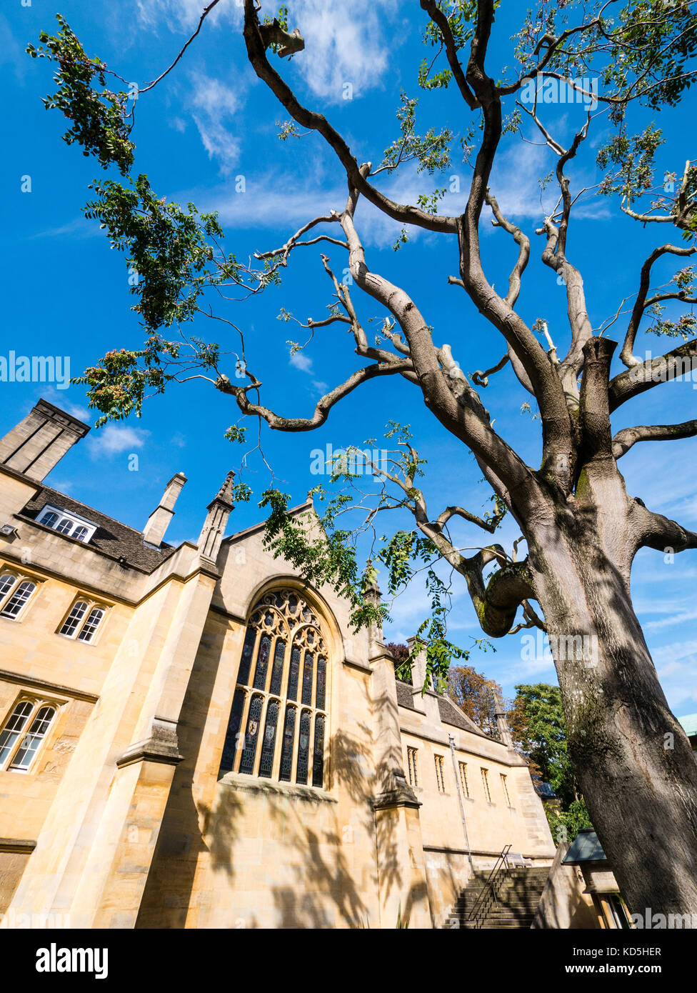Chapelle wadham , Wadham College, Oxford, Oxfordshire, Angleterre Banque D'Images Chapelle wadham , Wadham College, Oxford, Oxfordshire, Angleterre Banque D'Images