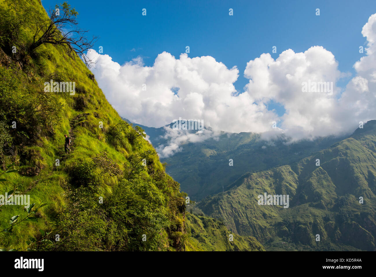 Randonnées dans l'Himalaya indien près de la ville de Munsiyari, Pithoragarh, Uttarakhand. Banque D'Images