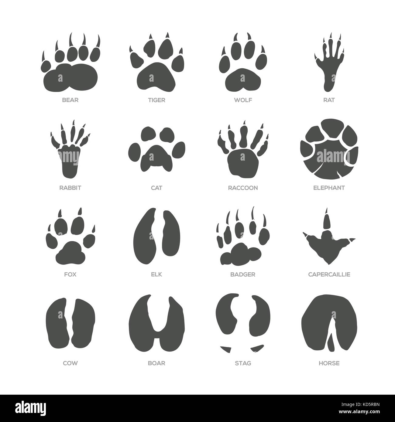 - Pistes d'animaux isolés moderne vector set Illustration de Vecteur
