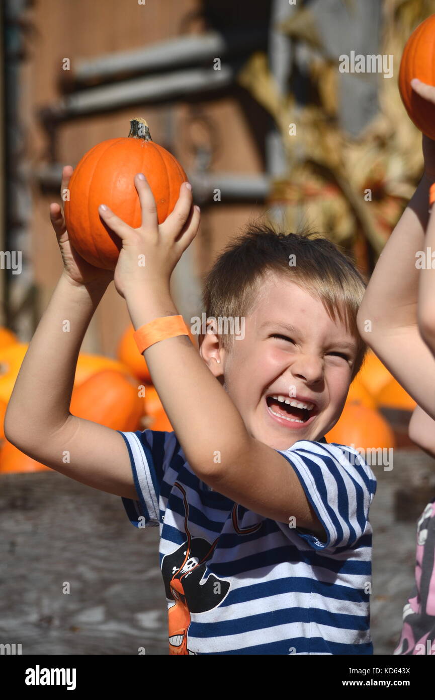 Un garçon d'âge préscolaire s'amuse, sourire, rire et tenant une petite citrouille au-dessus de sa tête. la récolte, l'automne, l'automne et d'action de thème. Banque D'Images