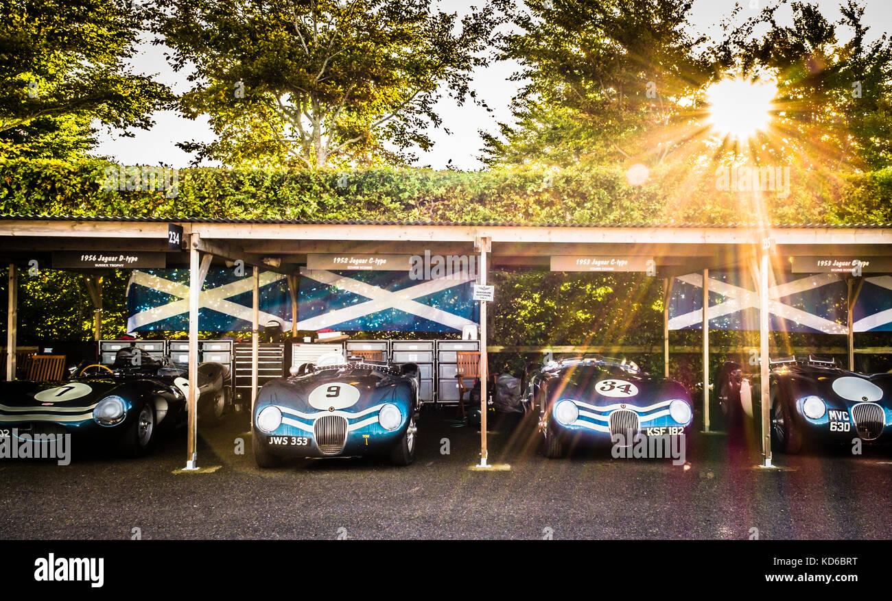 La gamme Ecurie Ecosse de voitures Jaguar C et d type des années 1950 dans le paddock au Goodwood Revival 2017, Sussex, Royaume-Uni. Banque D'Images