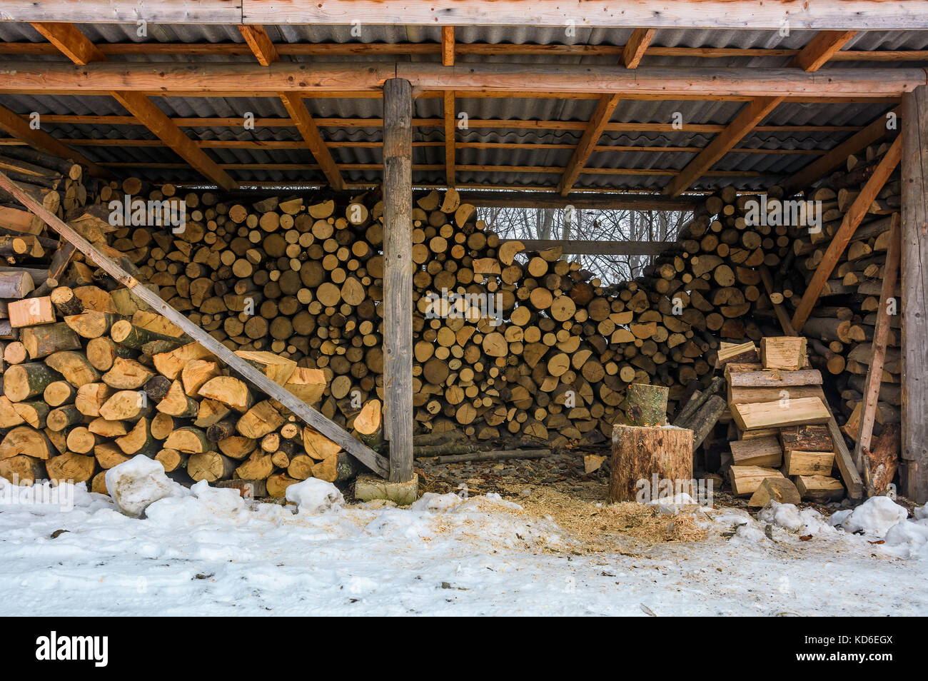 Hangar plein de bois de chauffage coupé. belle scène de la vie rurale en hiver. concept de l'énergie écologique Banque D'Images