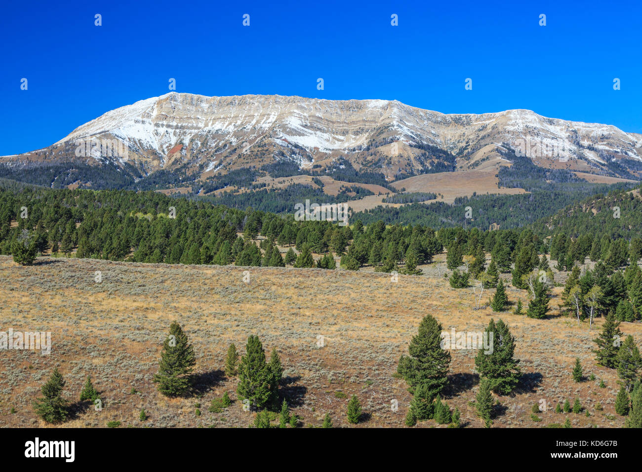 Ligne de crête dans la montagne près de l'aulne, gamme snowcrest montana Banque D'Images